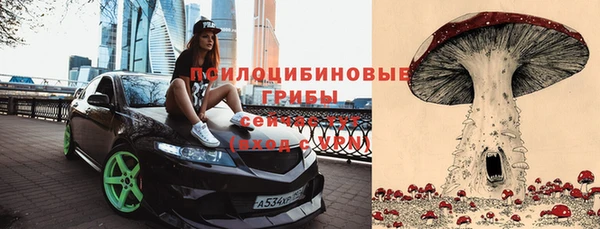 стаф Волосово