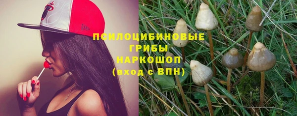 стаф Волосово