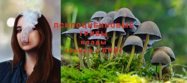 дурь Верхний Тагил