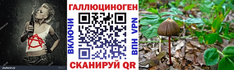 Псилоцибиновые грибы MAGIC MUSHROOMS  МЕГА ссылки  Заозёрный  хочу наркоту 