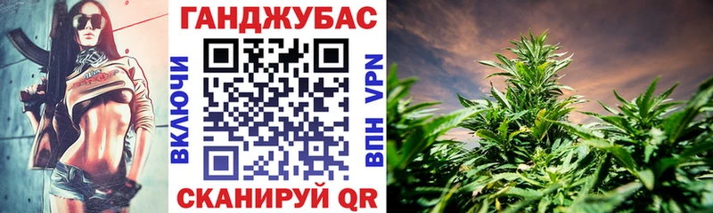 Канабис MAZAR  Заозёрный 